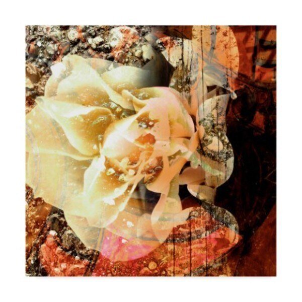 Danielle Harrington 'Eveline I' Canvas Art, 18x18, Trademark Fine Art, Mfr#: WAG02744-C1818GG